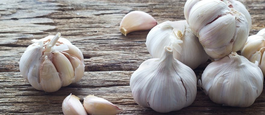 Czosnek